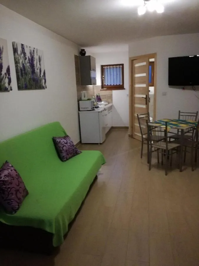 Apartament Dwupoziomowy U Samkow Zakopane Apartment